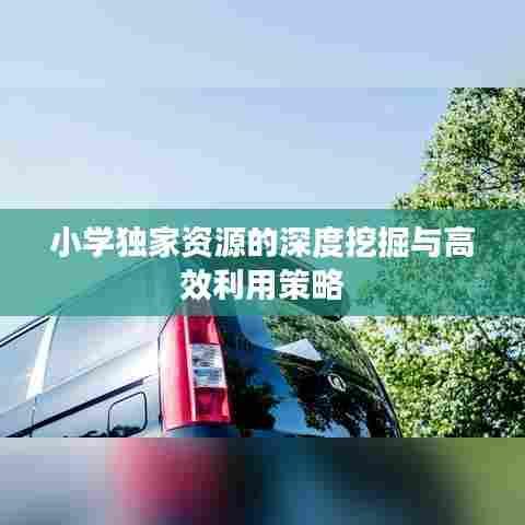 小学独家资源的深度挖掘与高效利用策略