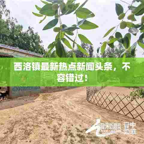 花容月貌 第7页