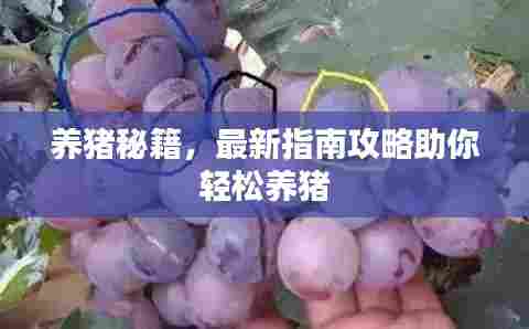 养猪秘籍，最新指南攻略助你轻松养猪