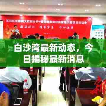 白沙湾最新动态,今日揭秘最新消息