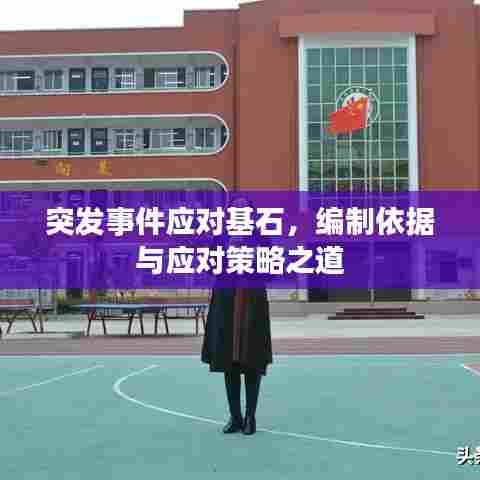 突发事件应对基石，编制依据与应对策略之道
