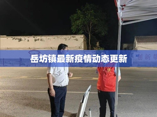 岳坊镇最新疫情动态更新