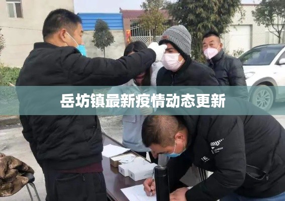 岳坊镇最新疫情动态更新