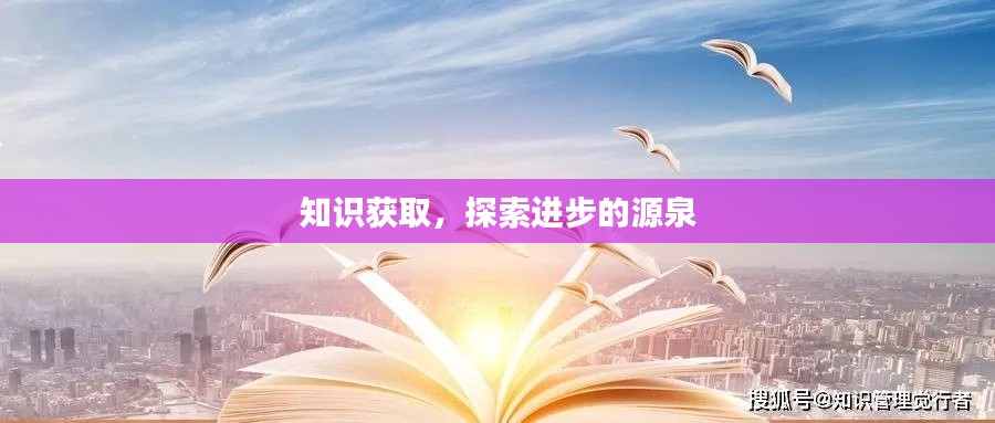 知识获取,探索进步的源泉