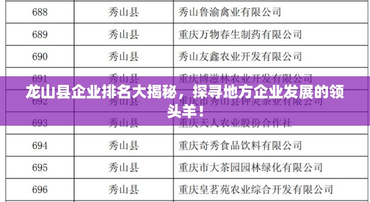 龙山县企业排名大揭秘，探寻地方企业发展的领头羊！