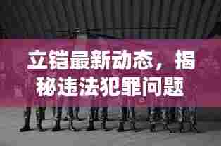 立铠最新动态,揭秘违法犯罪问题及应对策略