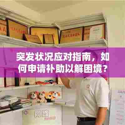 突发状况应对指南，如何申请补助以解困境？