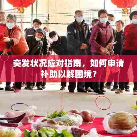 突发状况应对指南,如何申请补助以解困境?