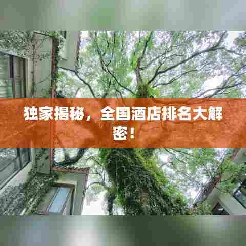 独家揭秘,全国酒店排名大解密!