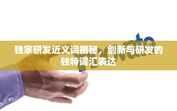 独家研发近义词揭秘，创新与研发的独特词汇表达