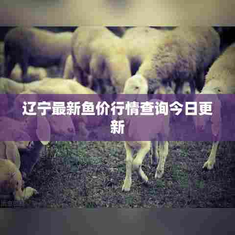辽宁最新鱼价行情查询今日更新