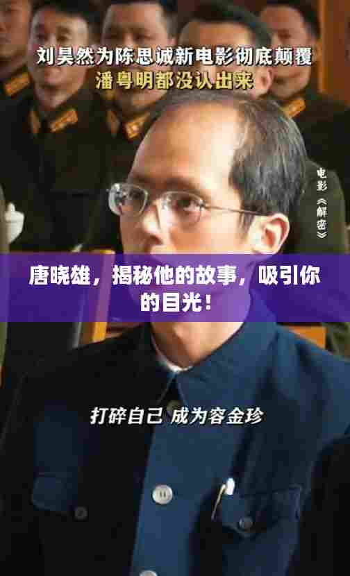 唐晓雄，揭秘他的故事，吸引你的目光！