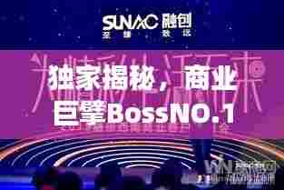 独家揭秘，商业巨擘BossNO.1的成功之道