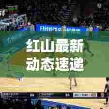 红山最新动态速递，今日信息更新汇总