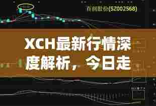 XCH最新行情深度解析,今日走势揭秘