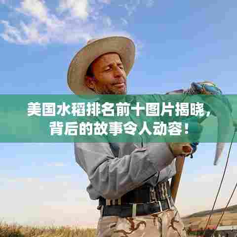 美国水稻排名前十图片揭晓，背后的故事令人动容！