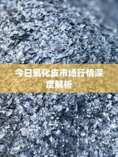 今日氧化皮市场行情深度解析