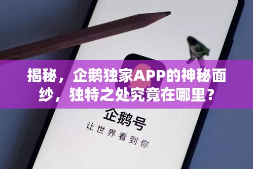 揭秘，企鹅独家APP的神秘面纱，独特之处究竟在哪里？