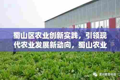 家成业就 第5页