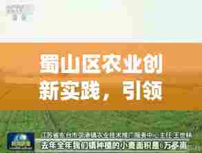 蜀山区农业创新实践,引领现代农业发展新动向,蜀山农业新闻头条速递