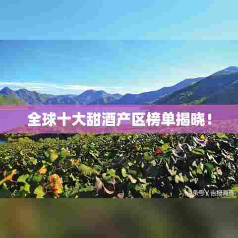 全球十大甜酒产区榜单揭晓!