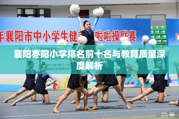 襄阳枣阳小学排名前十名与教育质量深度解析