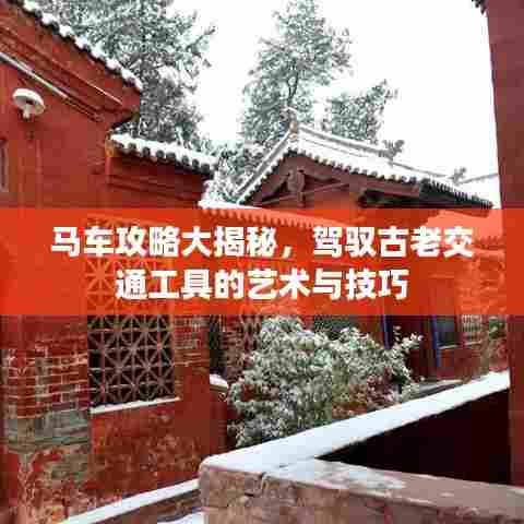 马车攻略大揭秘，驾驭古老交通工具的艺术与技巧
