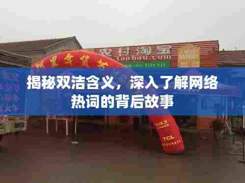 揭秘双洁含义,深入了解网络热词的背后故事