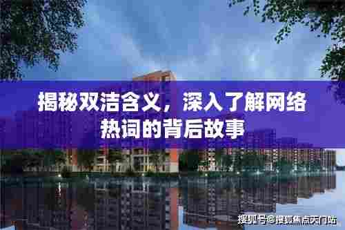 揭秘双洁含义,深入了解网络热词的背后故事