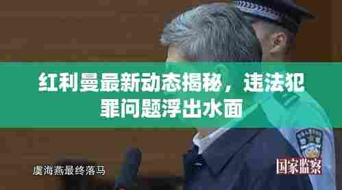 红利曼最新动态揭秘,违法犯罪问题浮出水面