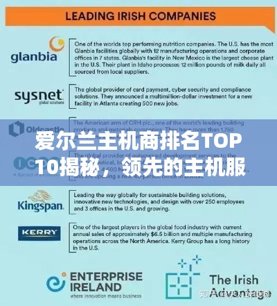 爱尔兰主机商排名TOP10揭秘,领先的主机服务提供商榜单