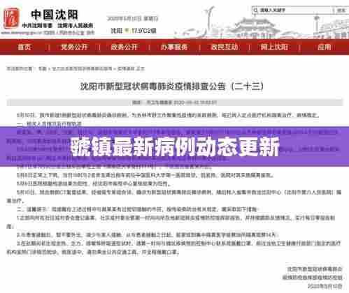 虢镇最新病例动态更新