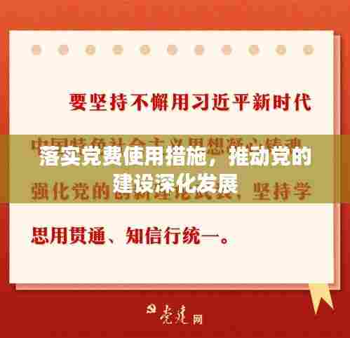 落实党费使用措施，推动党的建设深化发展