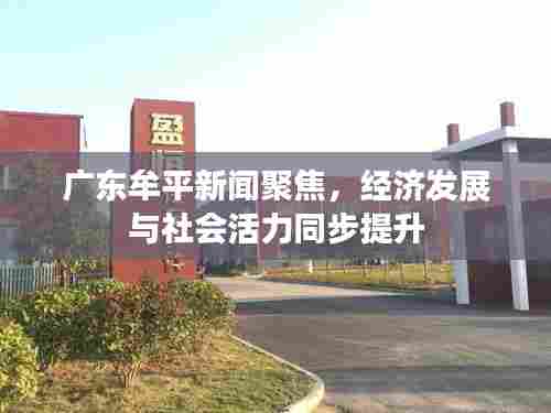 广东牟平新闻聚焦,经济发展与社会活力同步提升