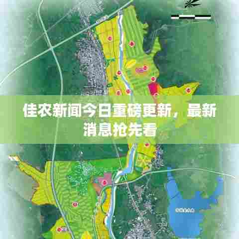 佳农新闻今日重磅更新,最新消息抢先看