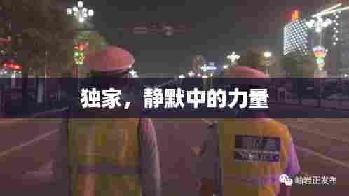 择善而从 第6页