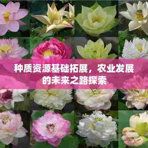 种质资源基础拓展,农业发展的未来之路探索