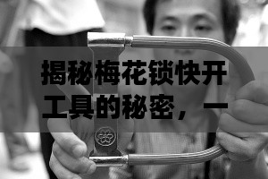 揭秘梅花锁快开工具的秘密,一键搜索,真相大白!