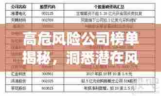 高危风险公司榜单揭秘,洞悉潜在风险,助力明智投资决策