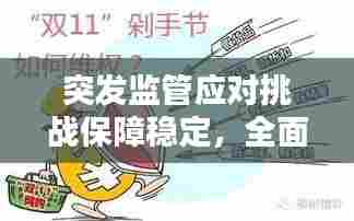 突发监管应对挑战保障稳定,全面解析与应对策略