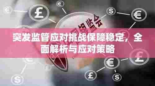 突发监管应对挑战保障稳定,全面解析与应对策略