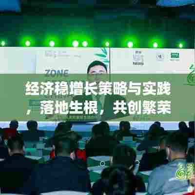 经济稳增长策略与实践，落地生根，共创繁荣