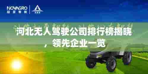 河北无人驾驶公司排行榜揭晓，领先企业一览