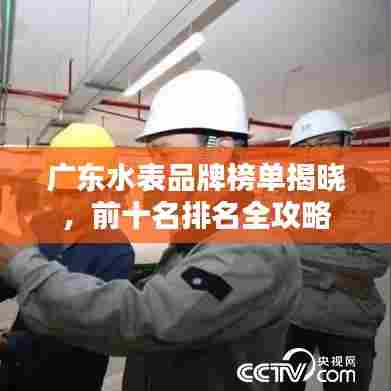 广东水表品牌榜单揭晓，前十名排名全攻略