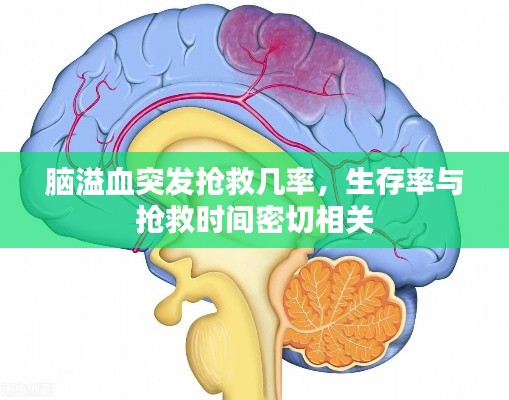 脑溢血突发抢救几率,生存率与抢救时间密切相关