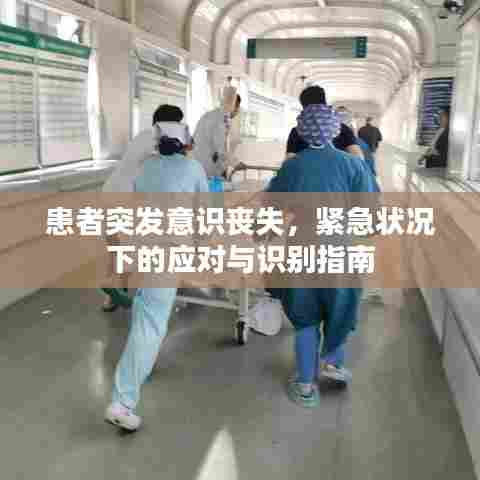 林下风气 第6页