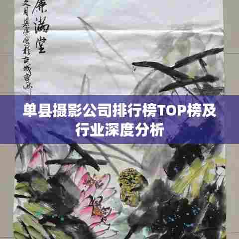 单县摄影公司排行榜TOP榜及行业深度分析