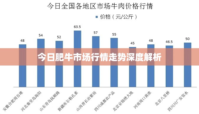 今日肥牛市场行情走势深度解析