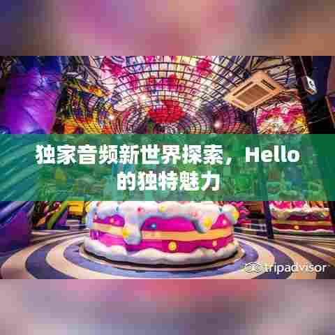 独家音频新世界探索,Hello的独特魅力
