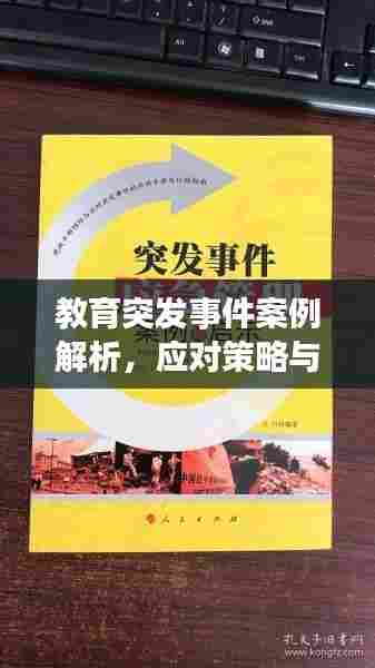 教育突发事件案例解析,应对策略与启示